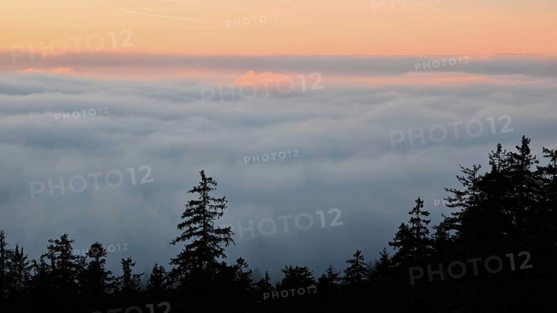 Sea of clouds over a forest in the evening light, Fichtelgebirge