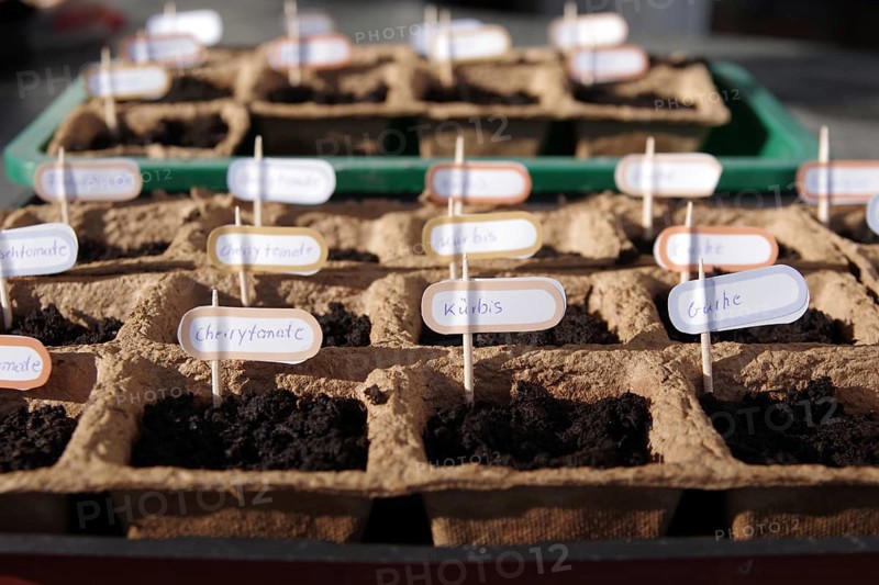Growing pots, soil, gardening, vegetables, name tags, preferring, seeds
