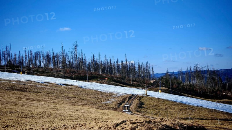 Winter landscape with ski slope made of artificial snow and bare trees under a blue sky, forest area with spruces (picea) destroyed by the bark beetle (scolytinae) under a blue sky, Rennsteig, Thuringian Forest nature park Park