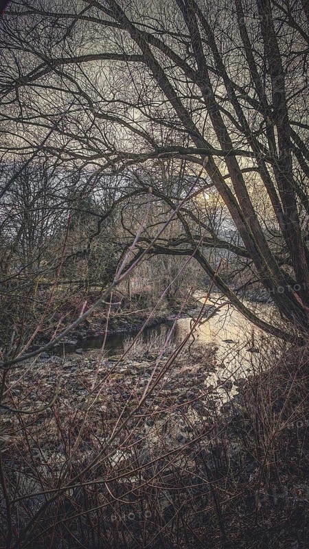 A river runs under bare trees and leaves behind a melancholy winter atmosphere, Franconian Forest nature park Park