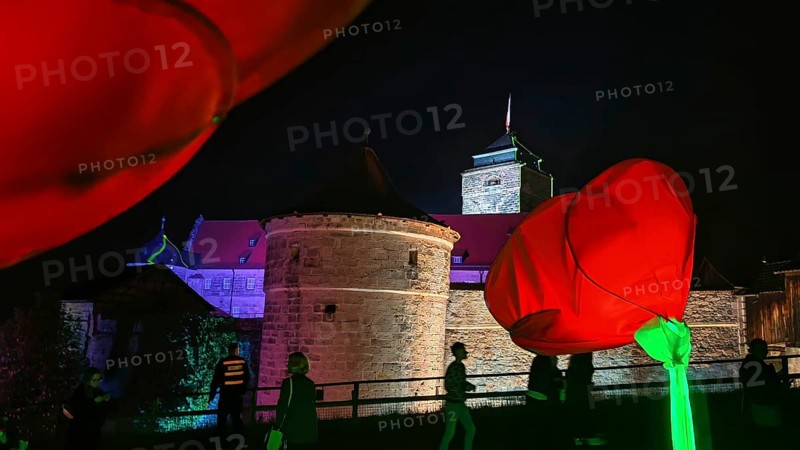 Red roses (pink) and people in front of an illuminated castle at night, Kronach shines, Franconian Forest nature park Park
