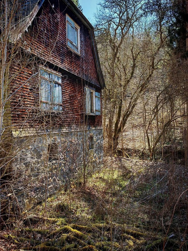 Abandoned old house in the forest, surrounded by trees and scrub, Frankenwald nature park Park