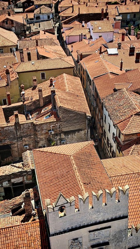 Densely arranged old buildings with red roofs in an old town, Koper, Slovenia