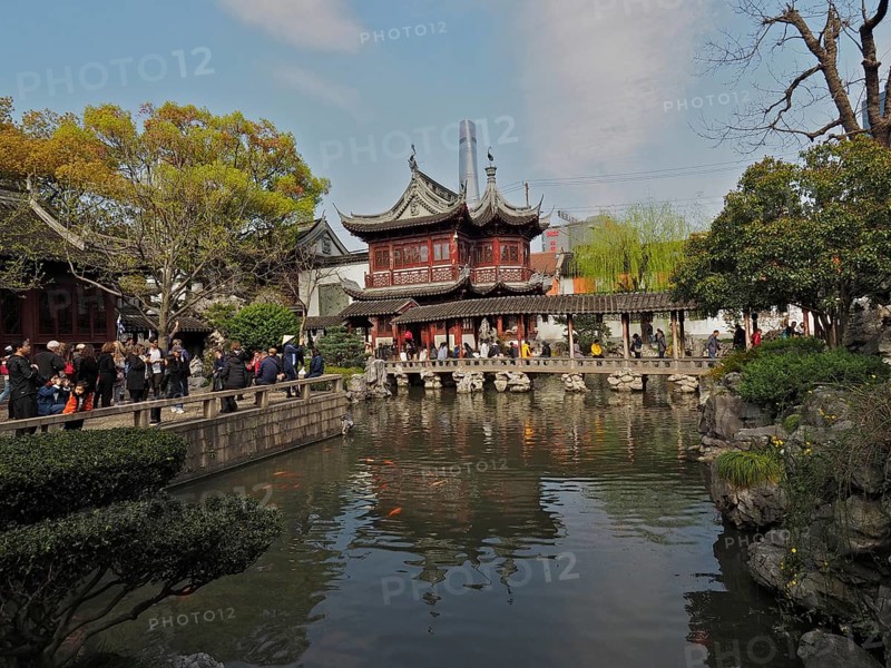 Traditional buildings surround a pond with carp and gardens, Yuyuan Garden, Shanghai, China