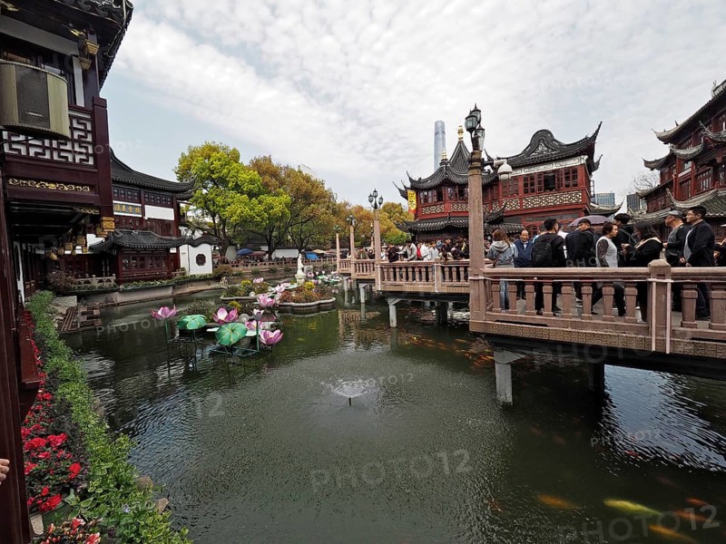 Bridge over a pond with historical background and buildings, Yuyuan Garden, Shanghai, China