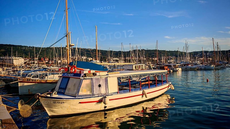 A small motor boat in the marina with numerous sailboats in the background, Izola, Slovenia