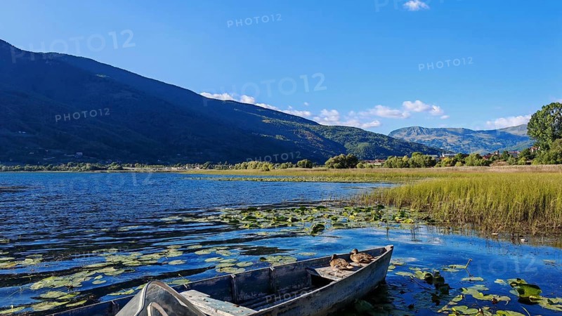 A boat on a lake with surrounding reeds and mountains in the background under a blue sky, Lake Plav, Montenegro