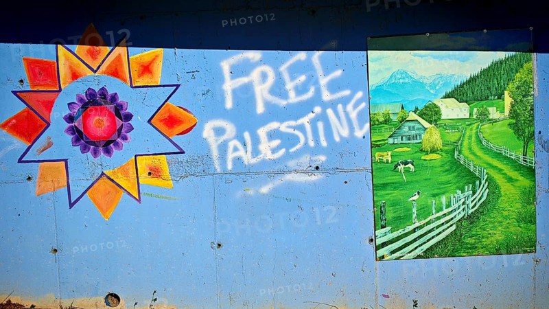Wall art with graffiti free Palestine and a picture of a green landscape with houses and mountains, Montenegro