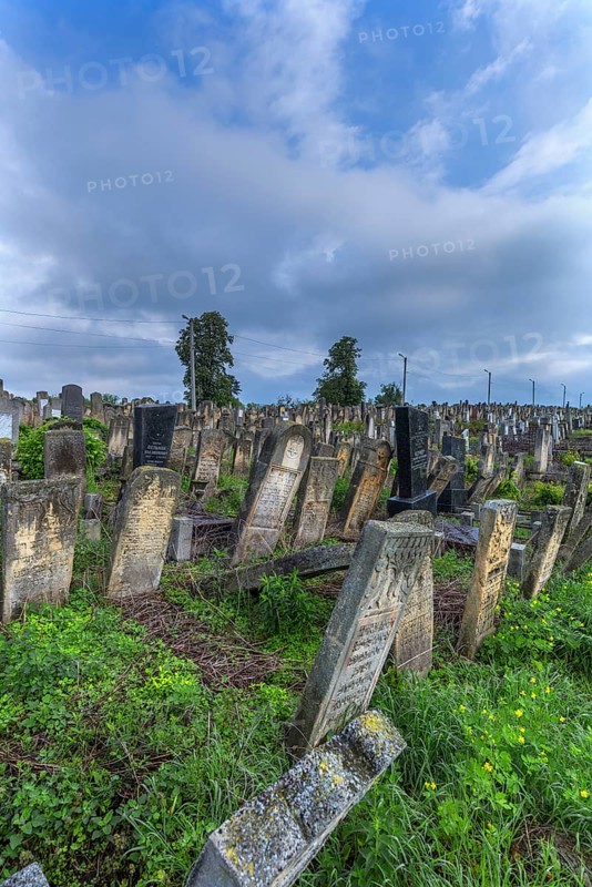 Old tombstones with colorful symbols at the Jewish Cemetery, Czernowicz, Bukovina, Ukraine