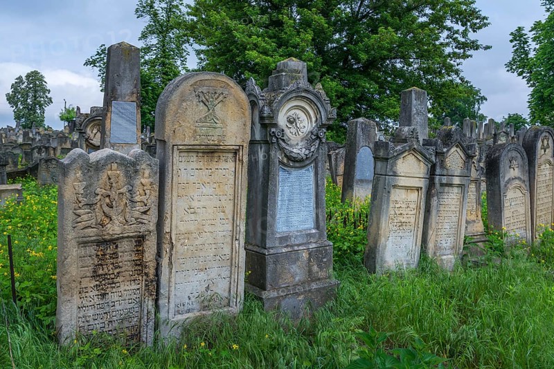 Tombstones with various Jewish symbols, Jewish cemetery, Czernowicz, Bukovina, Ukraine