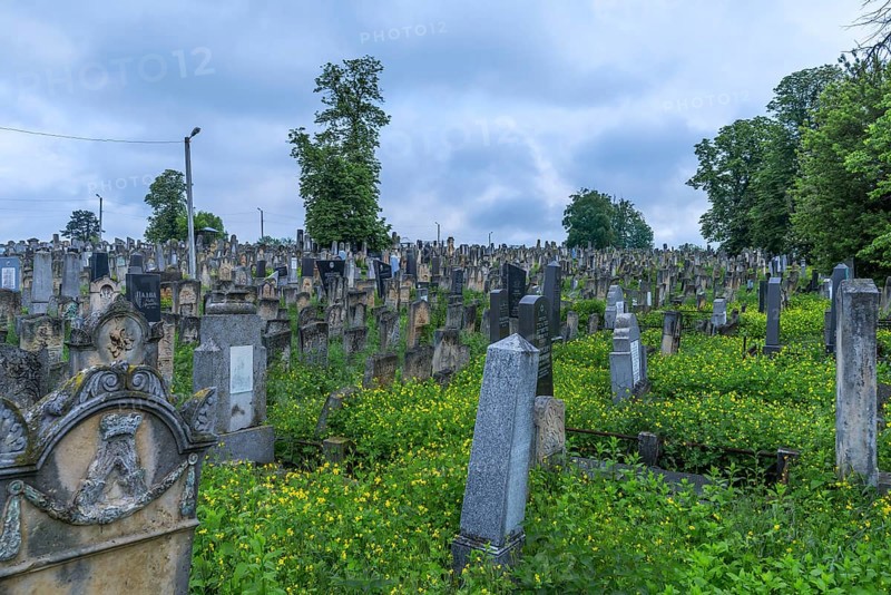 Jewish cemetery, Czernowicz, Bukovina, Ukraine