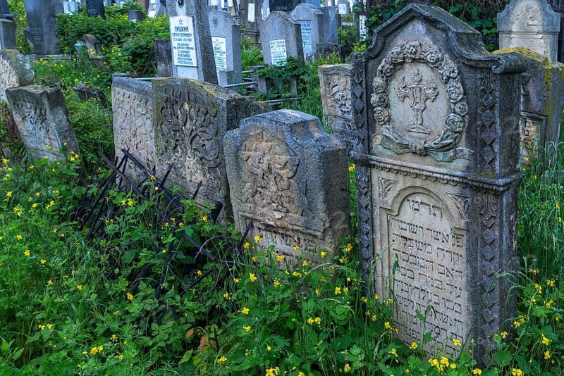 Tombstones with various Jewish symbols, Jewish cemetery, Czernowicz, Bukovina, Ukraine