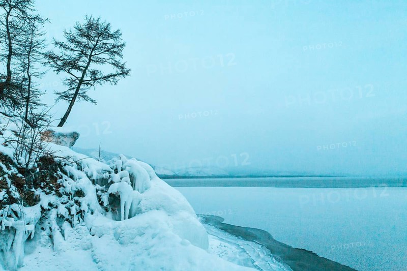 Lake Baikal, Siberia, Russia. Trees on snow covered frozen ground around frozen Lake Baikal in Winter