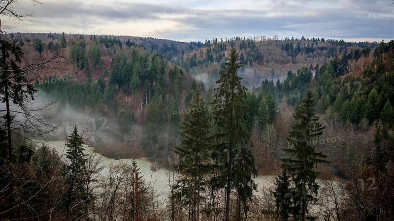 A foggy forest in the mountains at dusk with dense conifers, Frankenwald nature park Park