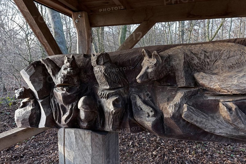Tree trunk with carved animal figures, fox owl, squirrel, covered rest area in the forest, Kalkumer Forst, Düsseldorf, North Rhine-Westphalia, Germany