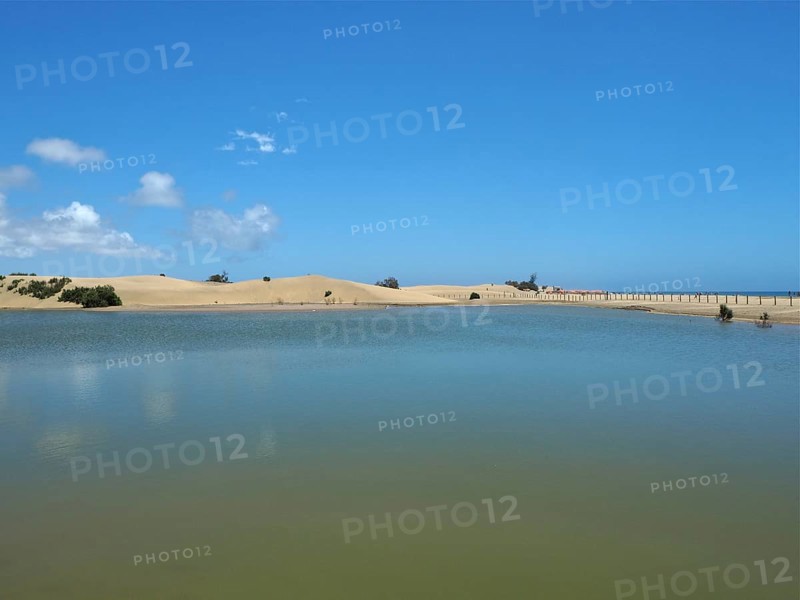 Tranquil lagoon lake with sand dunes under blue sky, El Oasis de Maspalomas, Gran Canaria, Canary Islands, Spain