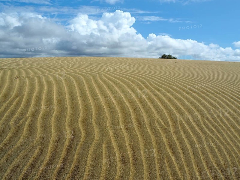 Sand dunes with wave-like textures under a cloudy sky, Maspalomas dunes, Gran Canaria, Canary Islands, Canary Islands, Spain