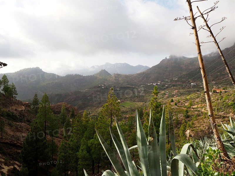 Hilly landscape with lush vegetation and cloudy sky, Cruz Grande, Gran Canaria, Canary Islands, Spain