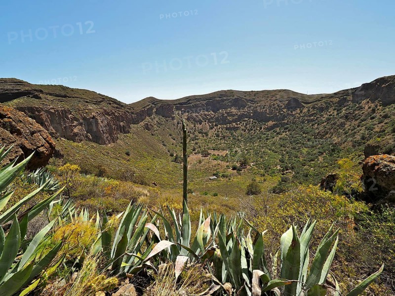 Green valley with agaves and rocks under clear sky, Caldera de Bandama volcanic crater, Gran Canaria, Canary Islands, Spain