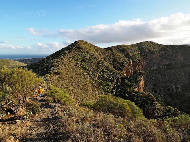Hiker on a trail along a sunny mountain ridge with views of the hills, Caldera de Bandama volcanic crater, Gran Canaria, Canary Islands, Spain