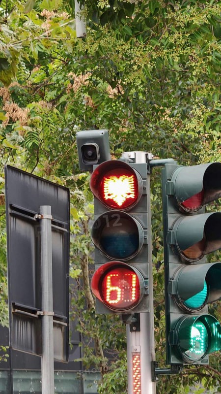 Traffic light for pedestrians with eagle symbol of the Albanian flag and countdown display against a background of trees and a security camera, Tirana, Albania