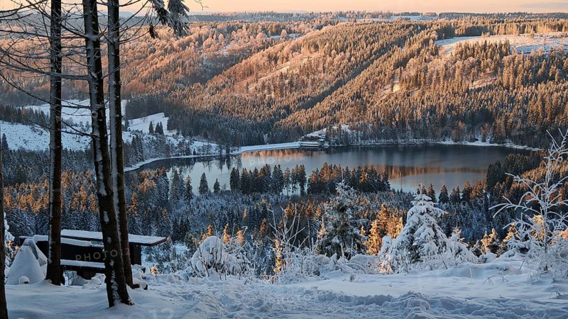 View of a snowy forest with a lake dam Scheibe Alsbach and hills in sunlight and a bench in the foreground, Rennsteig, Thuringian Forest nature park Park