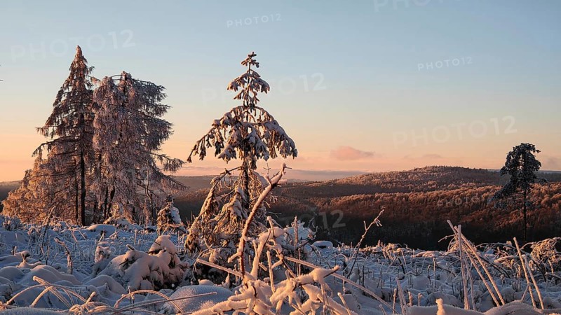 Winter landscape with hills and trees in the evening light, Rennsteig, Thuringian Forest nature park Park