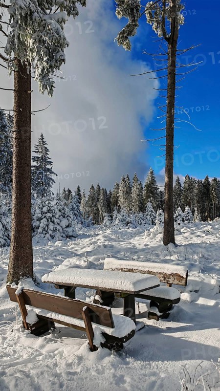 Snowy wooden table and benches in the forest, blue sky, Rennsteig, Thuringian Forest nature park Park