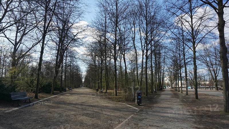 Tiergarten in Berlin surrounded by bare trees under a blue sky deserted without people during corona, Berlin