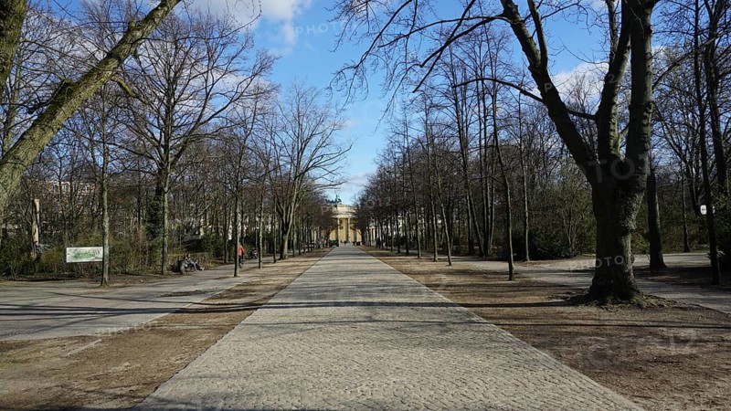 Long paved walking path between bare trees under a blue sky, deserted during corona, Berlin
