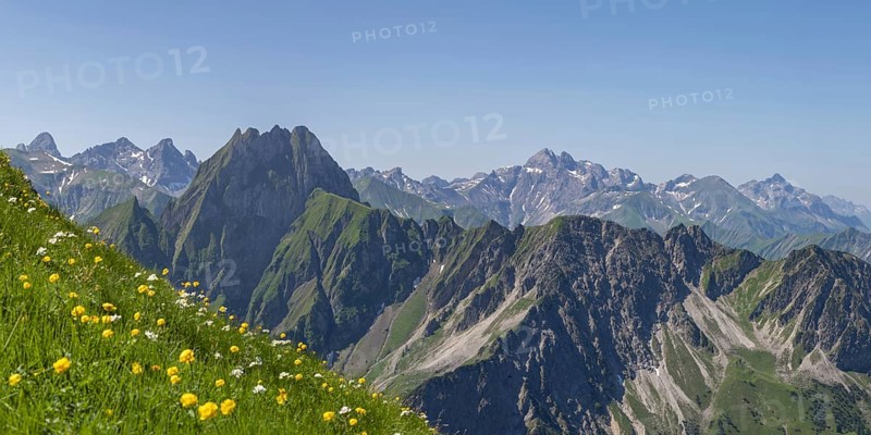 Mountain panorama with troll flowers (Trollius europaeus) from Laufbacher-Eckweg to Höfats, 2259m, Allgäu Alps, Allgäu, Bavaria, Germany