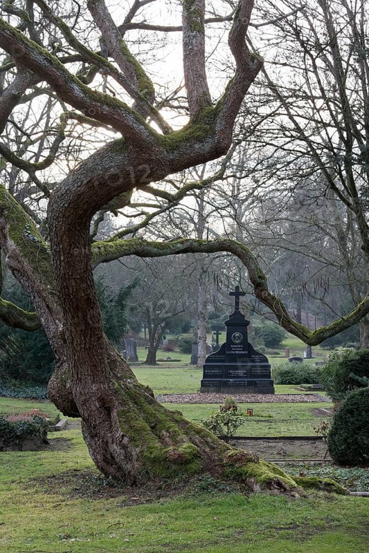 Gartendenkmal Düsseldorfer Nordfriedhof, park-like complex, Düsseldorf, North Rhine-Westphalia, Germany