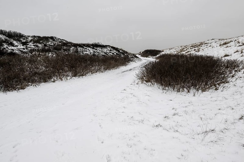 Dune landscape in snow, Langeoog, Lower Saxony, Germany