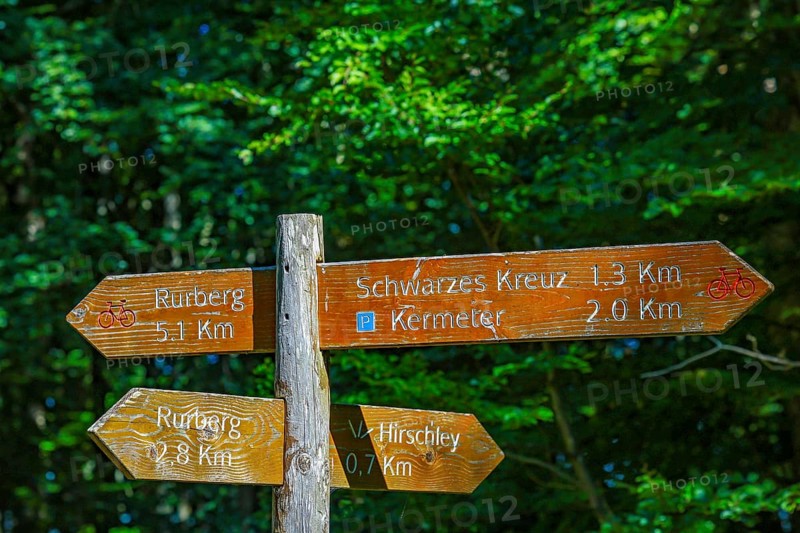 Heimbach, North Rhine-Westphalia, Germany — Eifel National Park. Guide to Rurberg, Schwarzes Kreuz, Kermeter and Eifel-Blick Hirschley. Viewpoint with a view of the Rursee, the Schwammenauel Rurtalsperre. Barrier-free nature experience area Wilder Kermeter
