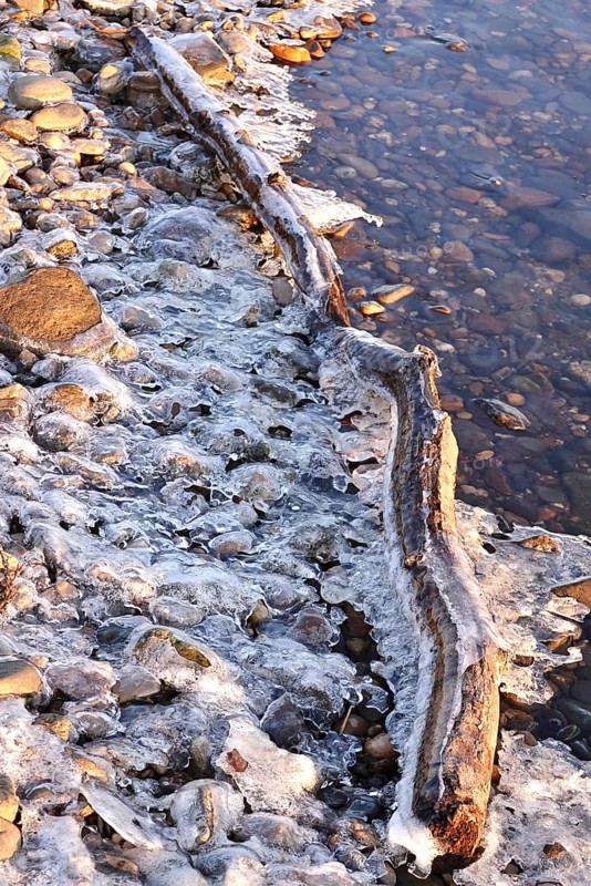 Ice on a lakeside lake, winter, Germany