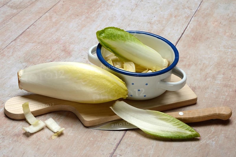 Chicory, chicory salad on wooden board with knife