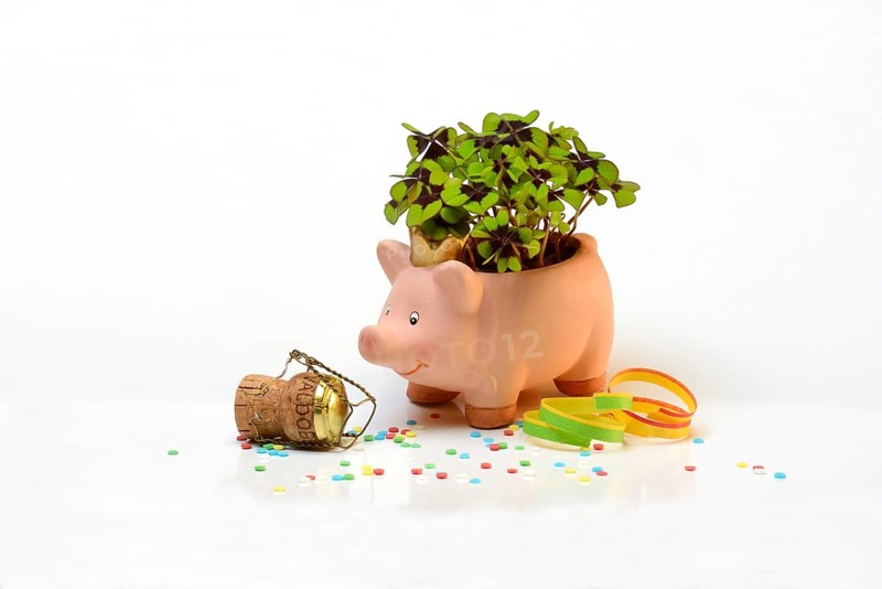 Lucky ceramic pig with shamrock plant and champagne cork, New Year