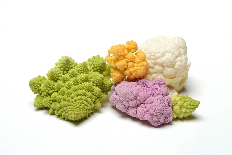 Colored cauliflower, Brassica oleracea var. botrytis