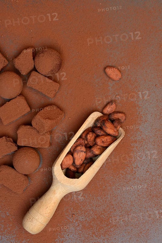 Cocoa beans in wooden scoop, cocoa powder and chocolate chocolates