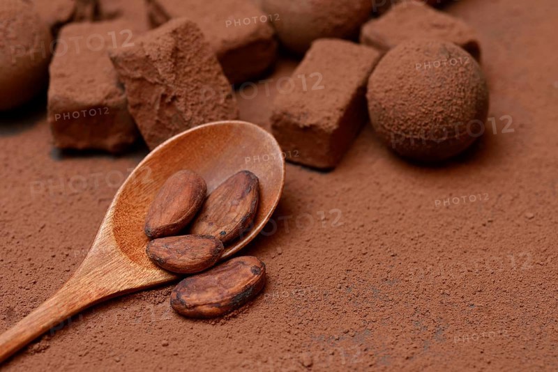 Cocoa beans in wooden spoons, cocoa powder and chocolate pralines