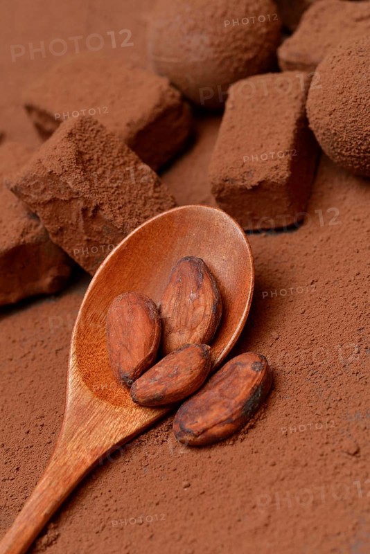 Cocoa beans in wooden spoons, cocoa powder and chocolate pralines