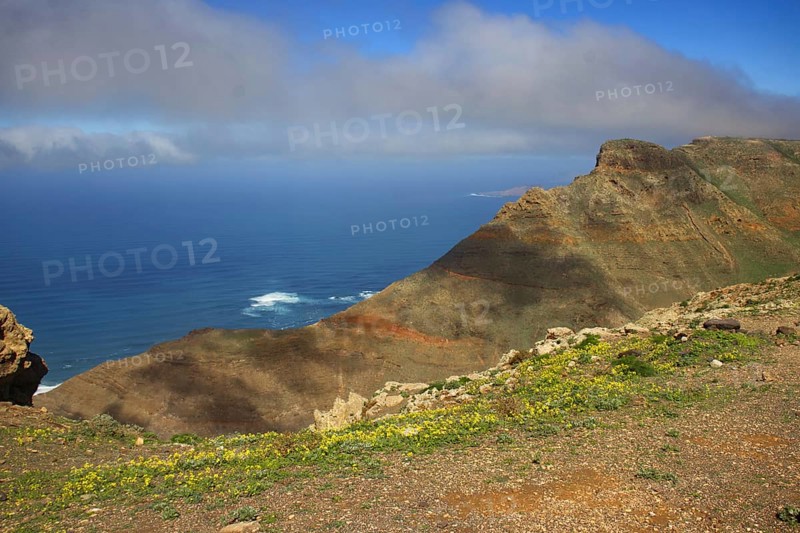 Mountainside with flowers and sea views, under blue sky with clouds, Mirador de Ermita de Las Nieves, Lanzarote