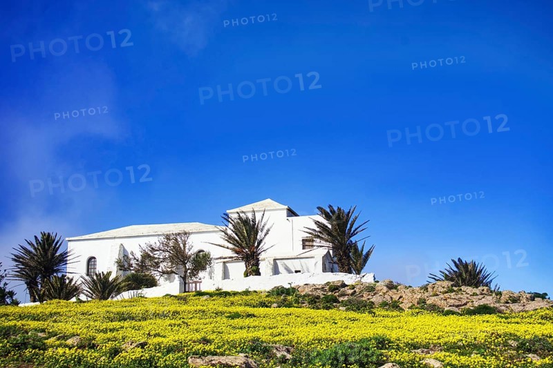 Small church (Ermita de Las Nieves) with palm trees surrounded by yellow flowers, Mirador de Ermita de Las Nieves, Lanzarote