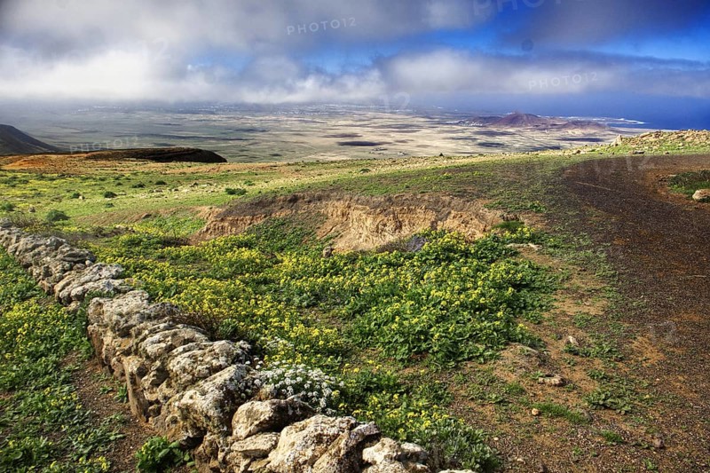 Wide meadow landscape with flowers and clouds, partly sunny, Mirador de Ermita de Las Nieves, Lanzarote