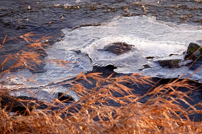 Elbe with ice on the shore, winter, Dresden, Saxony, Germany