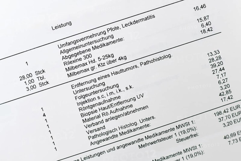 Germany - January 20th 2026: Close up of German veterinary bill with detailed medicine and procedure listings. Expensive pet healthcare costs