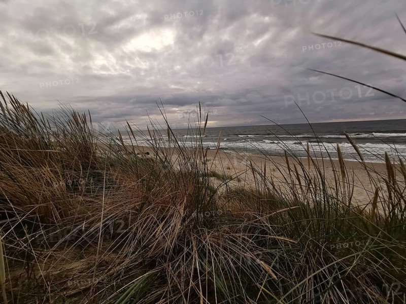 View through dunes of stormy sea, cloudy sky and rough coastal landscape, Baltic Sea, fresh spit, Pomerania, Poland