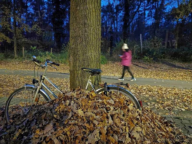 A bicycle is leaning against a tree next to a pile of leaves in the park at dusk, a woman walks past in the background, bicycle sinks into leaves, Berlin, Germany