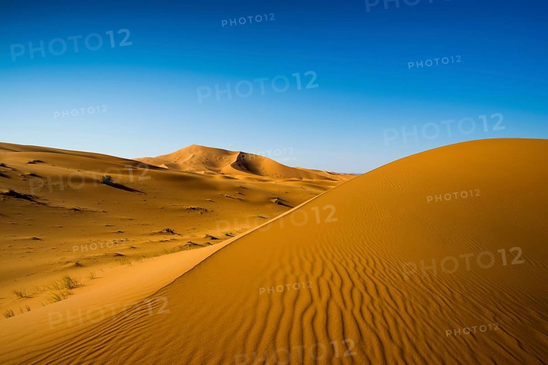 Sand dunes, sunset, near Merzouga, Meknès-Tafilalet region, Erg Chebbi, northern Sahara, Morocco