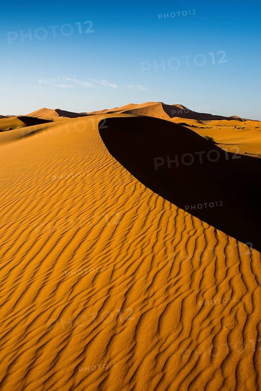 Sand dunes, sunset, near Merzouga, Meknès-Tafilalet region, Erg Chebbi, northern Sahara, Morocco